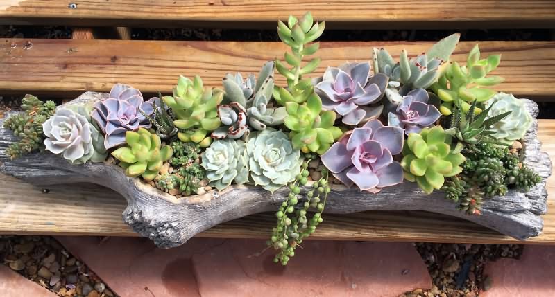 Potscape